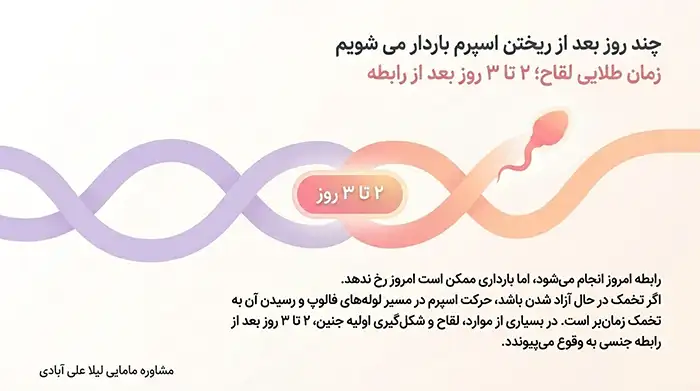 چند روز بعد از ریختن اسپرم باردار می شویم