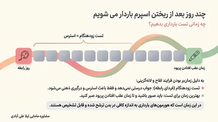 چند روز بعد از ریختن اسپرم باردار می شویم