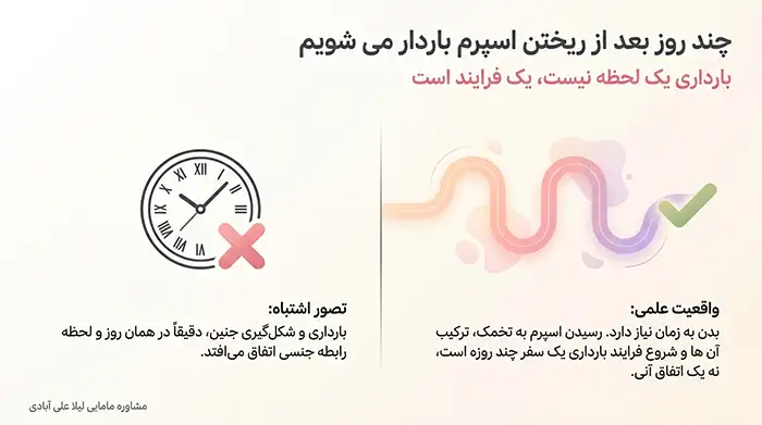 چند روز بعد از ریختن اسپرم باردار می شویم