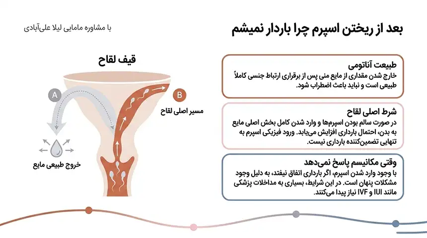 چرا با وجود سالم بودن باردار نمیشم+علت باردار نشدن بعد از بچه اول+چرا باردار نمیشم