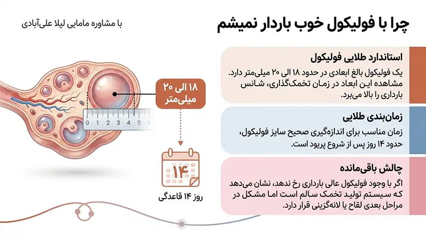 چرا با وجود سالم بودن باردار نمیشم+علت باردار نشدن بعد از بچه اول+چرا باردار نمیشم