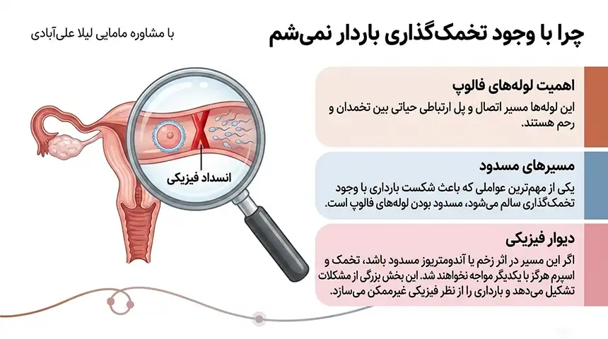چرا با وجود سالم بودن باردار نمیشم+علت باردار نشدن بعد از بچه اول+چرا باردار نمیشم