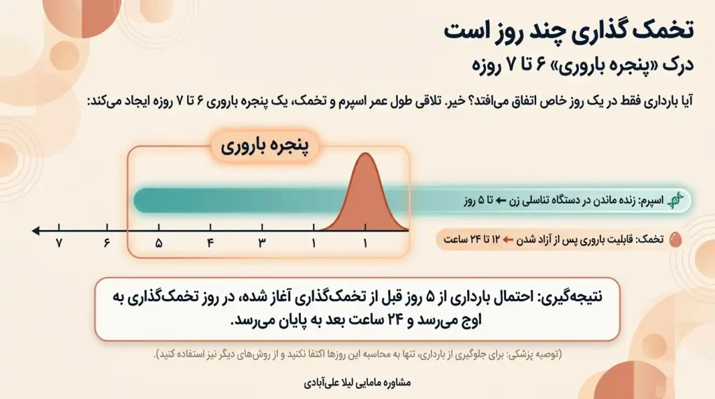 محاسبه زمان تخمک گذاری بعد از پریود انلاین+محاسبه آنلاین زمان تخمک گذاری برای پسردار شدن