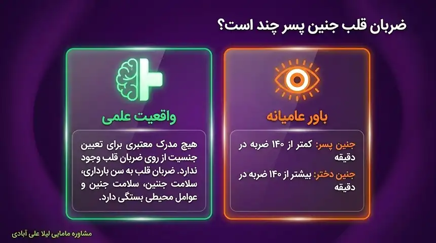 قلب جنین پسردرچندهفتگی تشکیل میشود+ضربان قلب جنین پسر چند است