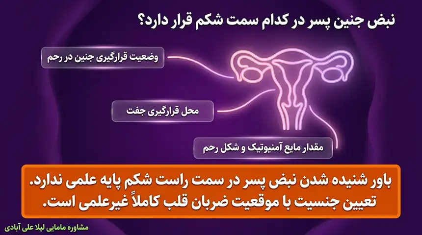 قلب جنین پسردرچندهفتگی تشکیل میشود+ضربان قلب جنین پسر چند است