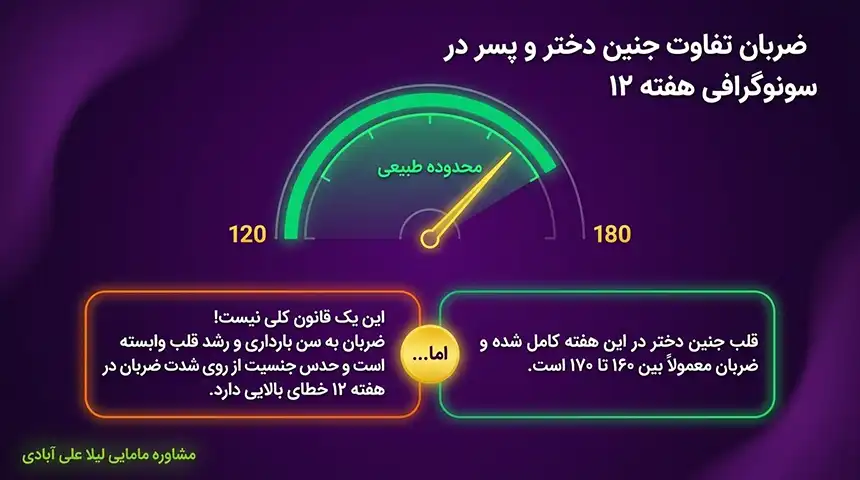 قلب جنین پسردرچندهفتگی تشکیل میشود+ضربان قلب جنین پسر چند است
