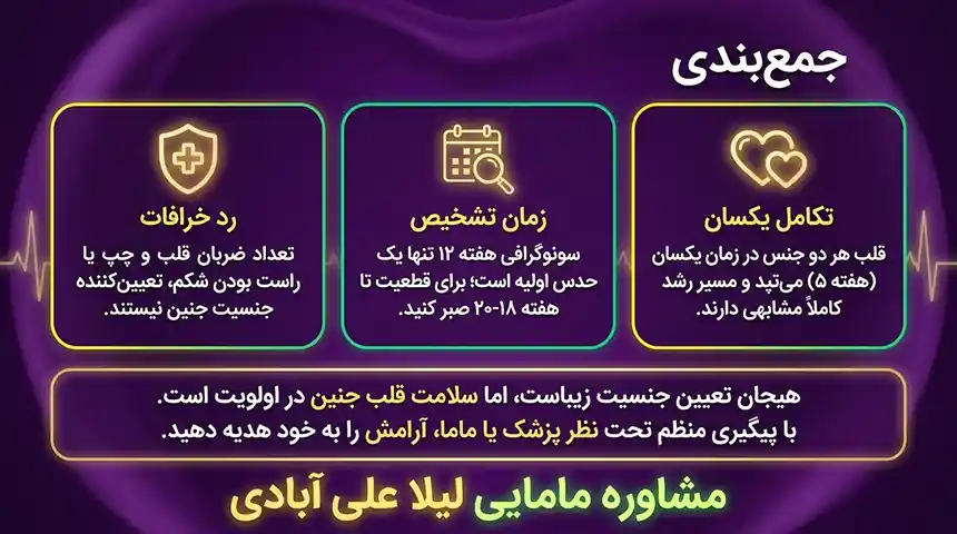 قلب جنین پسردرچندهفتگی تشکیل میشود+ضربان قلب جنین پسر چند است