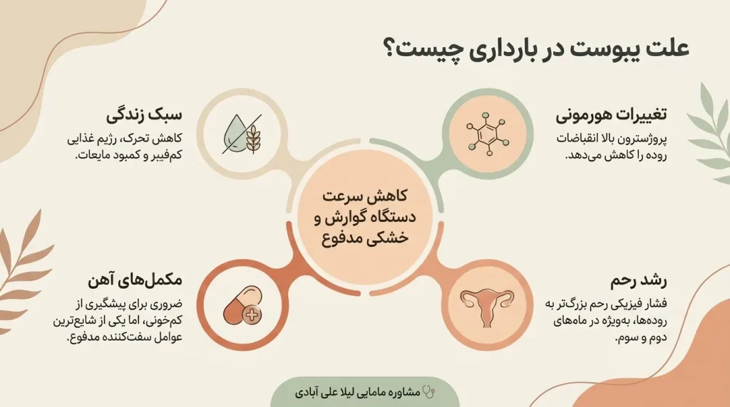 برای یبوست در بارداری چی بخوریم