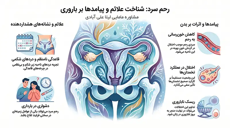 عکس رحم سرد
