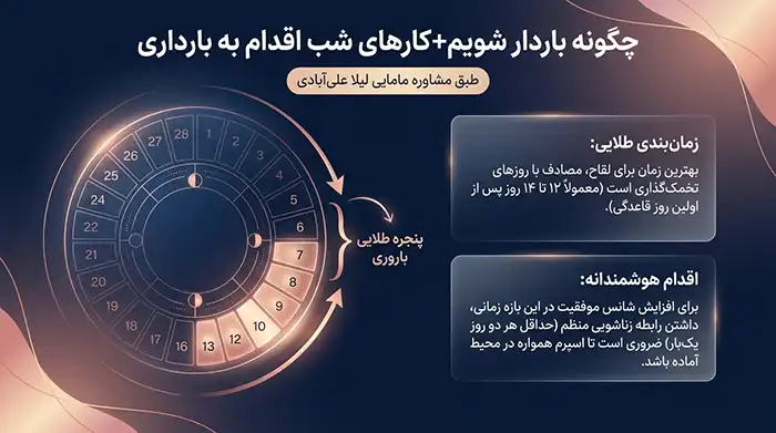 حامله شدن چگونه صورت میگیرد با عکس