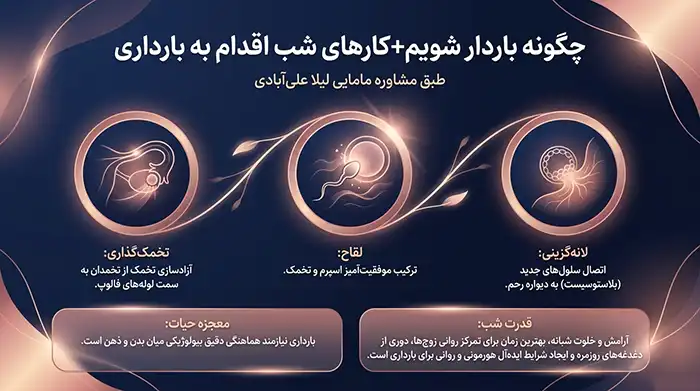 حامله شدن چگونه صورت میگیرد با عکس