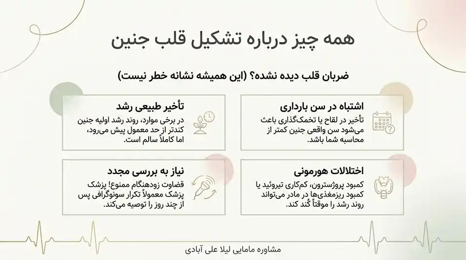 آخرین مهلت برای تشکیل قلب جنین