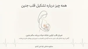 آخرین مهلت برای تشکیل قلب جنین