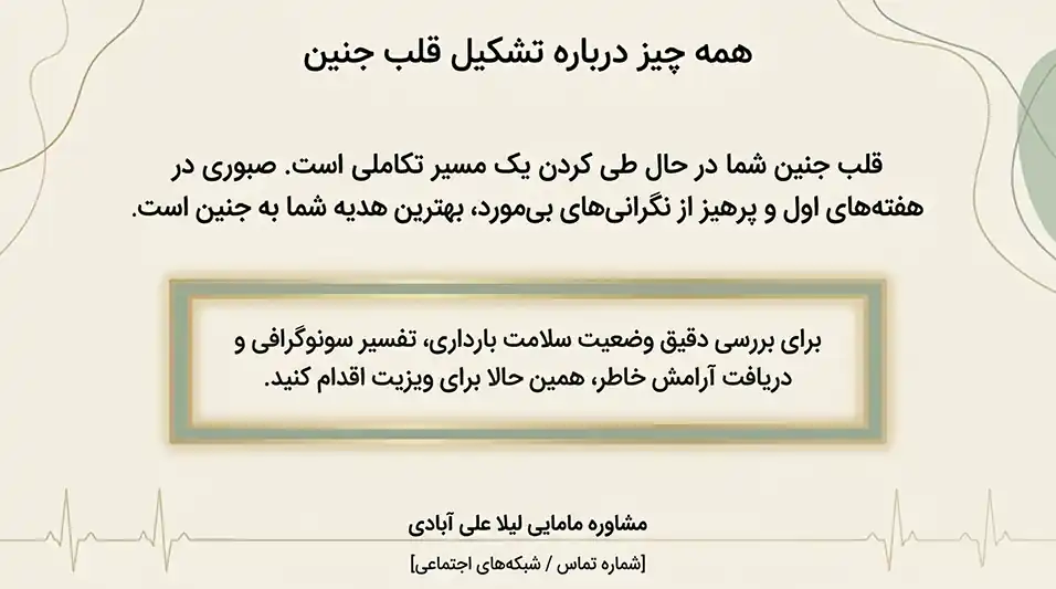 آخرین مهلت برای تشکیل قلب جنین