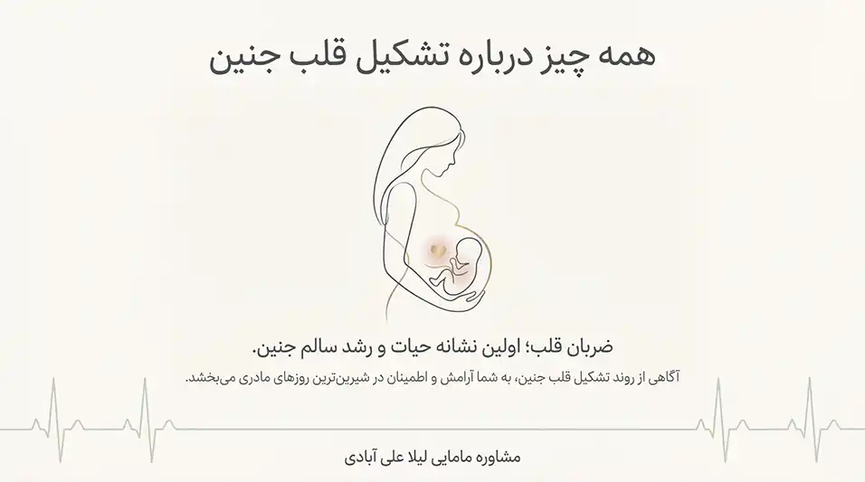 آخرین مهلت برای تشکیل قلب جنین