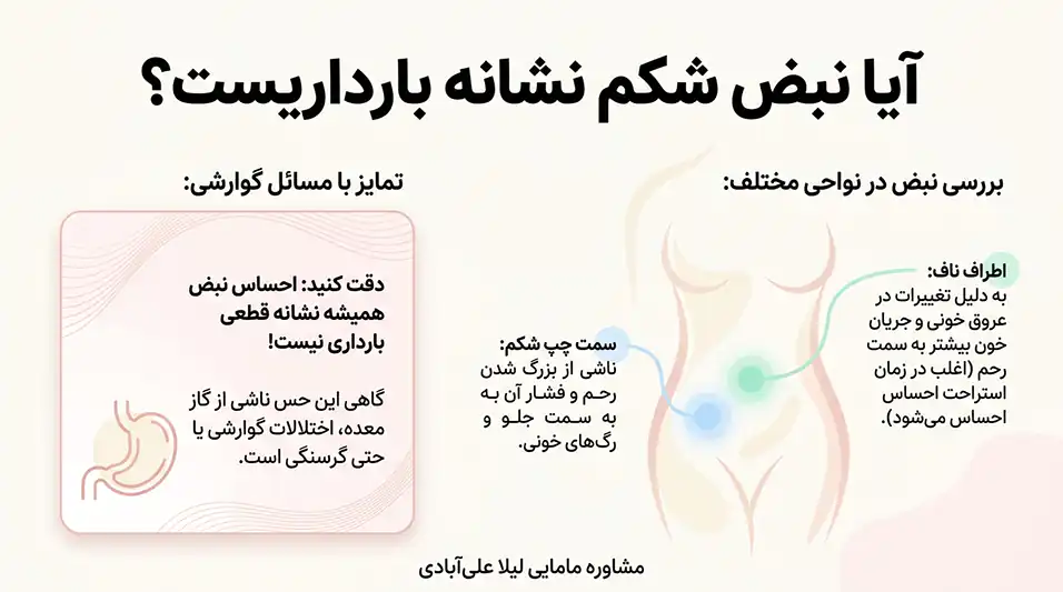 ایا نبض شکم نشانه بارداریست+احساس نبض در شکم در اوایل بارداری و جنسیت