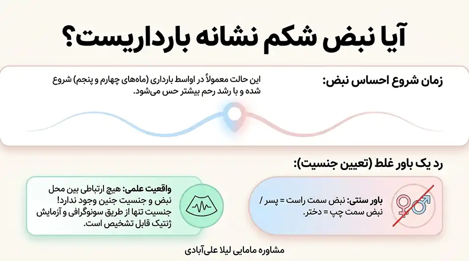 ایا نبض شکم نشانه بارداریست+احساس نبض در شکم در اوایل بارداری و جنسیت