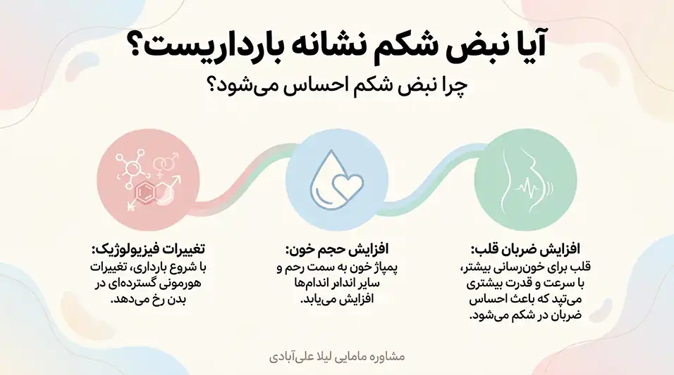 ایا نبض شکم نشانه بارداریست+احساس نبض در شکم در اوایل بارداری و جنسیت 
