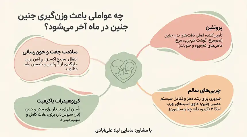 چه چیزهایی باعث وزن گیری جنین در ماه آخر میشود +سریعترین راه برای وزن گیری جنین