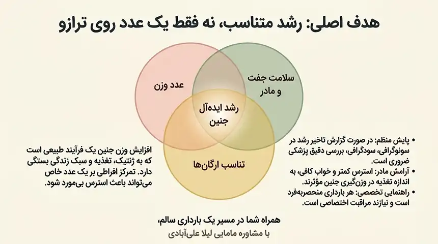 چه چیزهایی باعث وزن گیری جنین در ماه آخر میشود +سریعترین راه برای وزن گیری جنین
