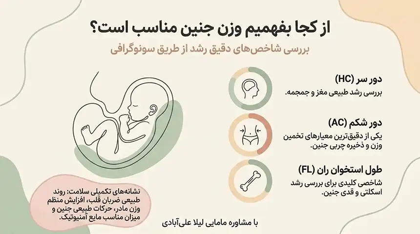 چه چیزهایی باعث وزن گیری جنین در ماه آخر میشود +سریعترین راه برای وزن گیری جنین