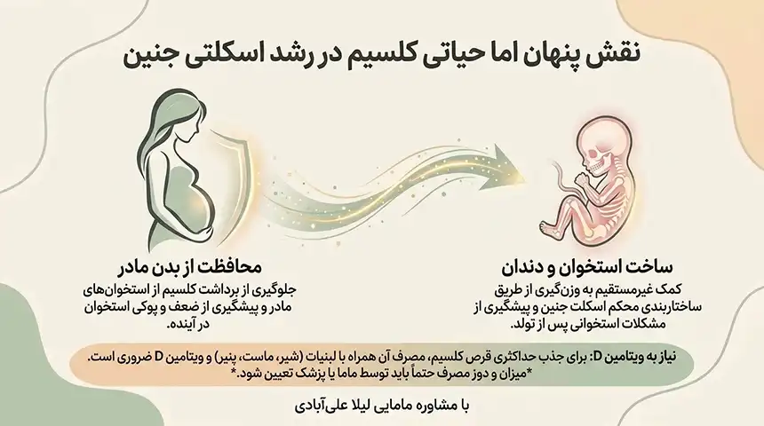 چه چیزهایی باعث وزن گیری جنین در ماه آخر میشود +سریعترین راه برای وزن گیری جنین