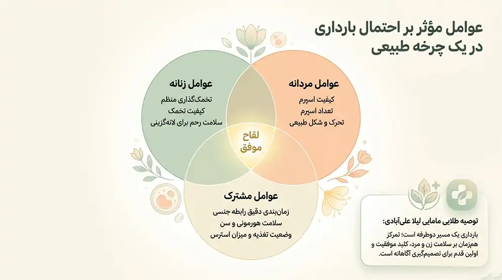 آموزش باردار شدن سریع+چه چیزی برای زود باردار شدن خوبه+روش خانگی برای بارداری سریع