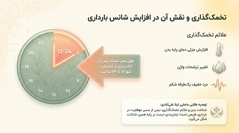 آموزش باردار شدن سریع+چه چیزی برای زود باردار شدن خوبه+روش خانگی برای بارداری سریع