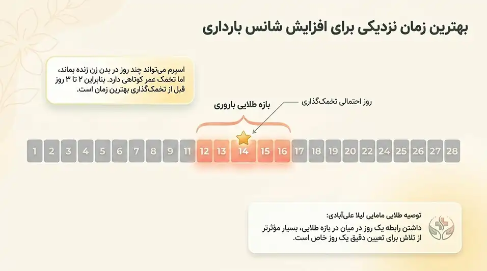 آموزش باردار شدن سریع+چه چیزی برای زود باردار شدن خوبه+روش خانگی برای بارداری سریع