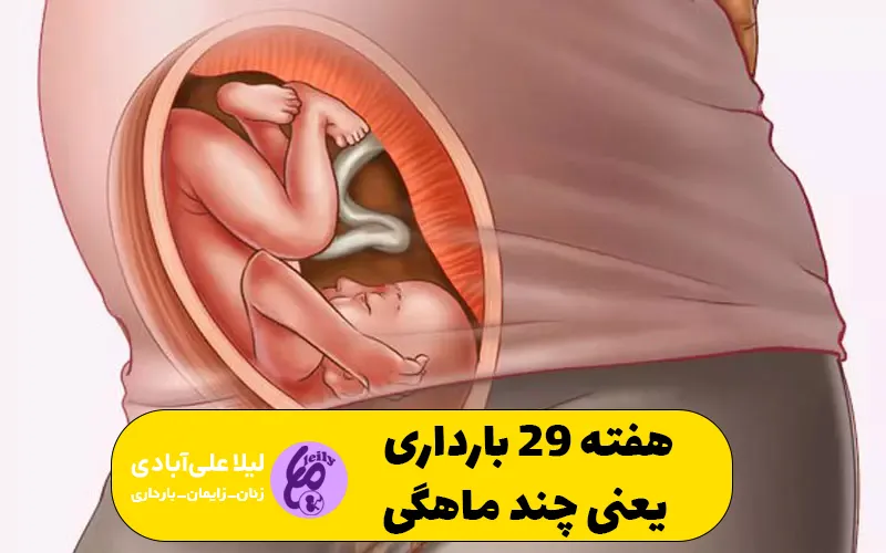 هفته ۲۹ بارداری یعنی چند ماهگی