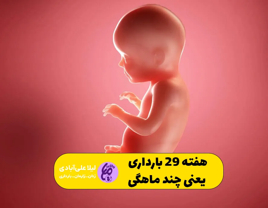 هفته ۲۹ بارداری یعنی چند ماهگی