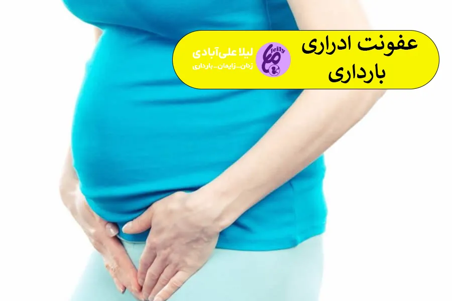 عفونت ادراری بارداری