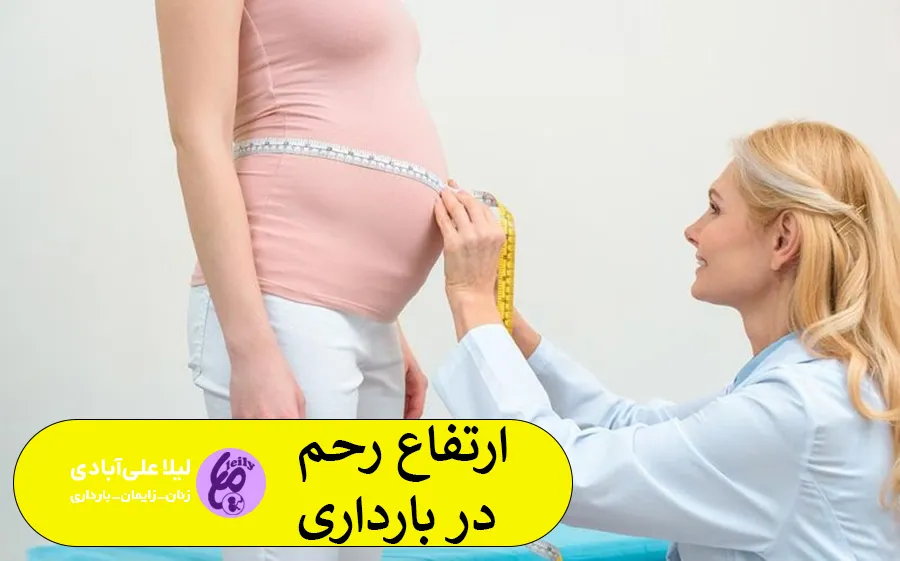 ارتفاع رحم در بارداری
