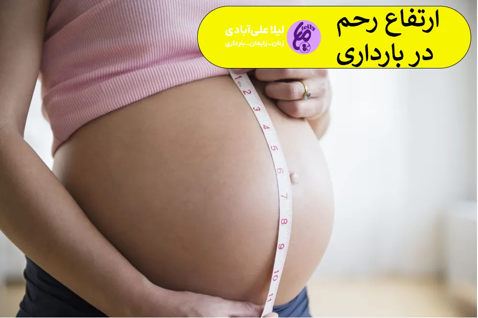 ارتفاع رحم در بارداری