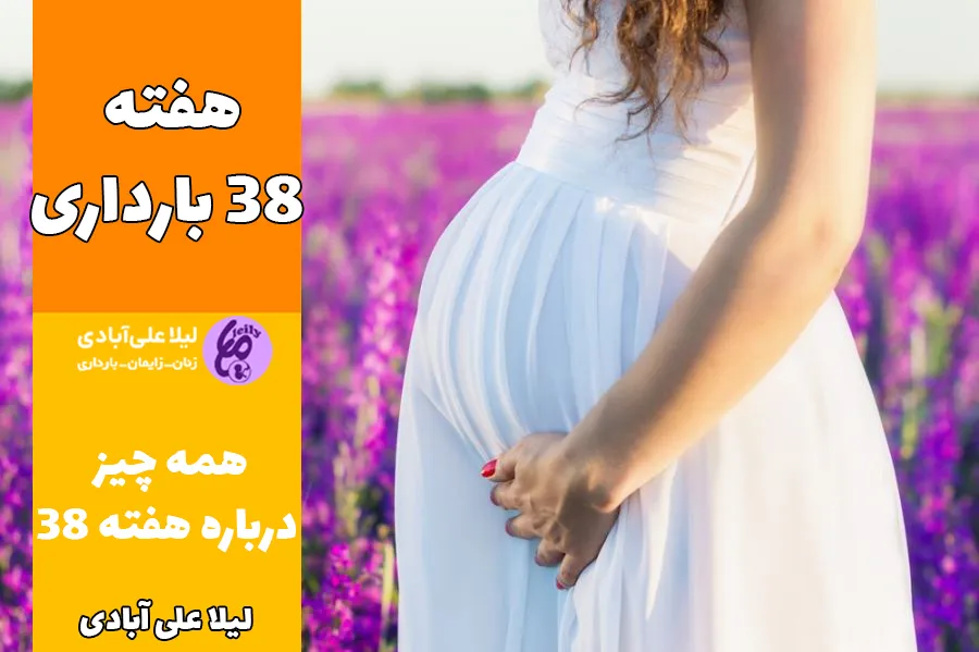 هفته ۳۸ بارداری