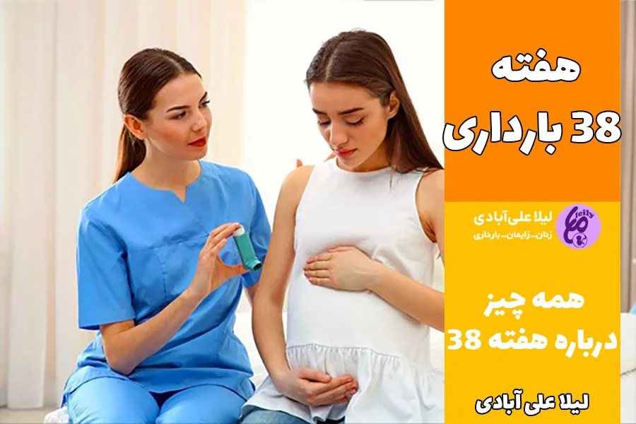 هفته ۳۸ بارداری
