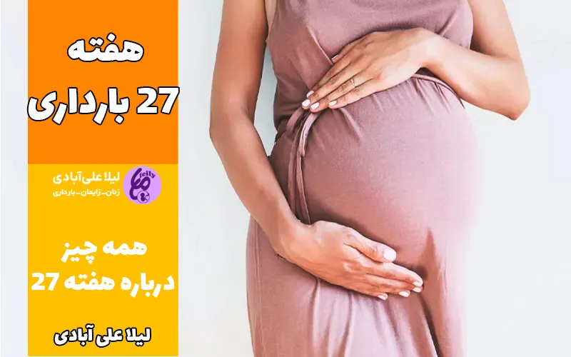 هفته ۲۷ بارداری