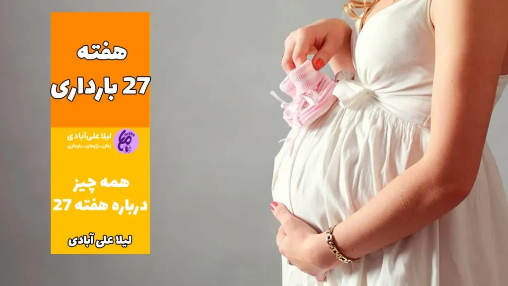 هفته ۲۷ بارداری