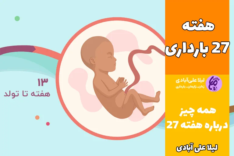 هفته ۲۷ بارداری
