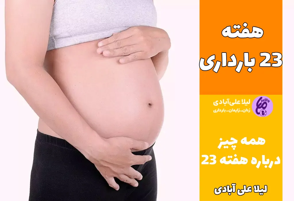 هفته ۲۳ بارداری