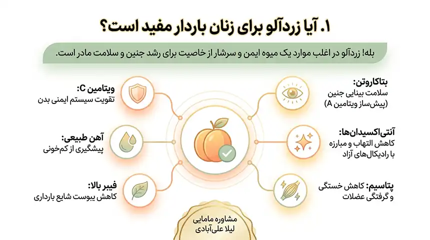 زردآلو در بارداری+خوردن زردآلو در بارداری و زیبایی جنین