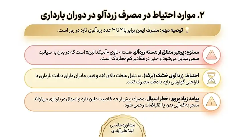 زردآلو در بارداری+خوردن زردآلو در بارداری و زیبایی جنین