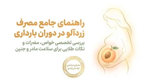زردآلو در بارداری+خوردن زردآلو در بارداری و زیبایی جنین