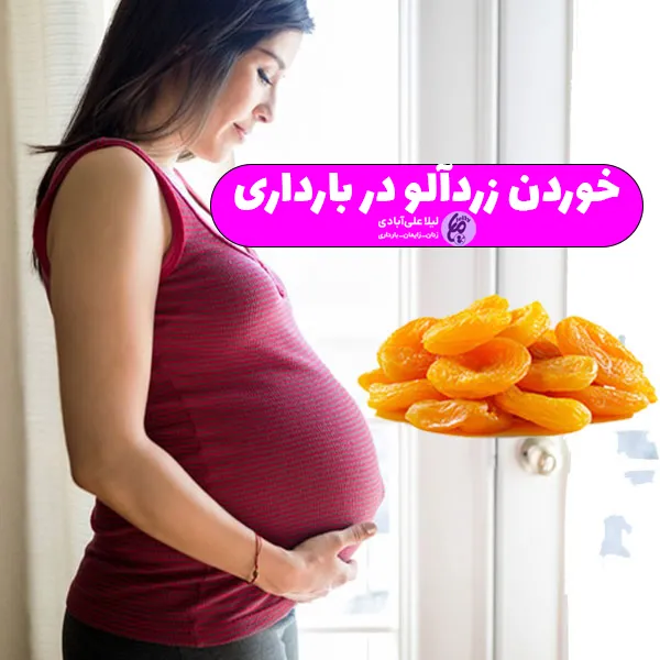 خوردن زردآلو در بارداری