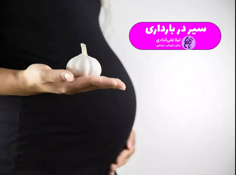 خوردن سیر در بارداری 