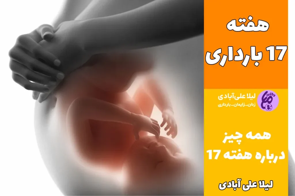 هفته هفدهم بارداری جنین پسر