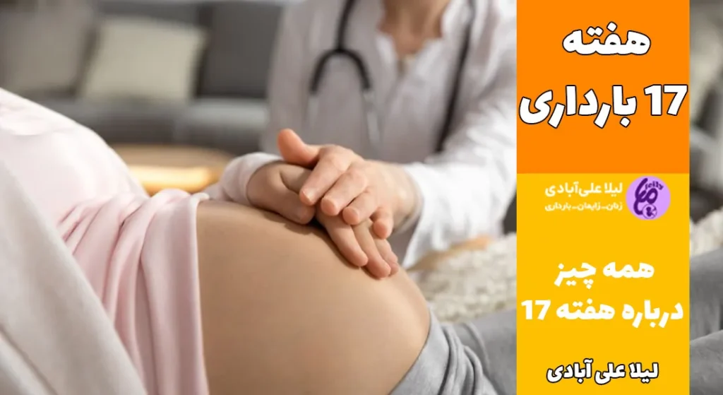 جنین در هفته هفدهم در کجای شکم قرار دارد؟