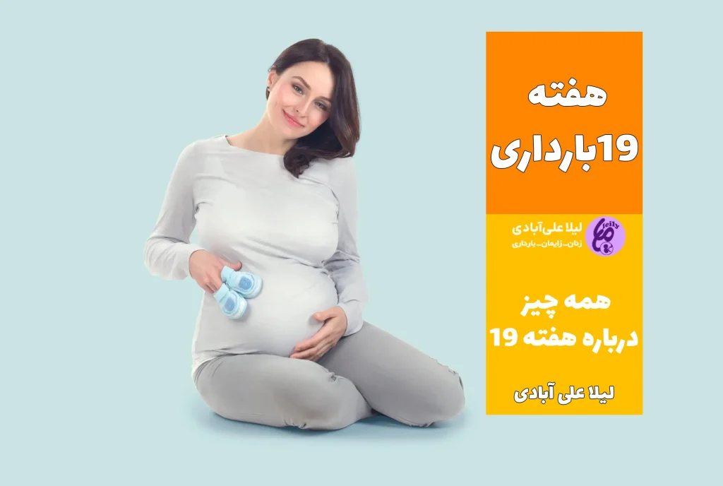 هفته نوزدهم بارداری جنین پسر
