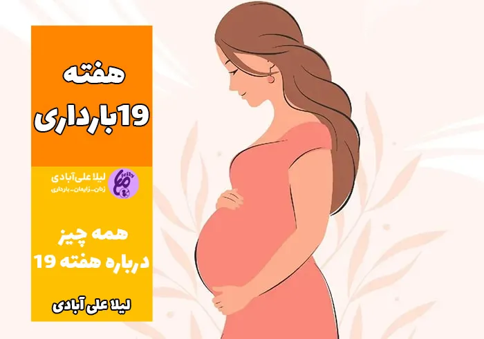 هفته نوزدهم بارداری جنین دختر