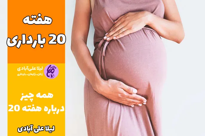 هفته ۲۰ بارداری